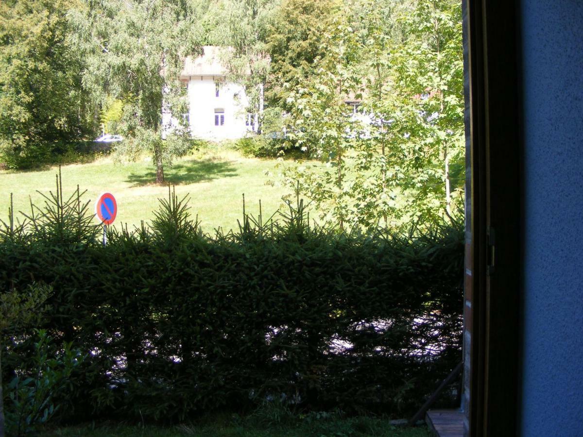 Les Mimosas Appartement La Bresse Buitenkant foto